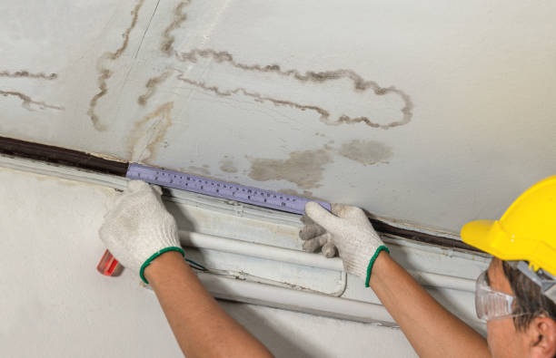 Reliable Flood Cleanup contractor in Kosse, TX by Water Damage Irwin